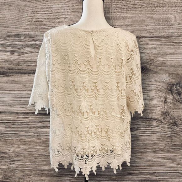 Adiva Scalloped Lace Top Short Sleeve in Ivory 1X - Picture 2 of 8